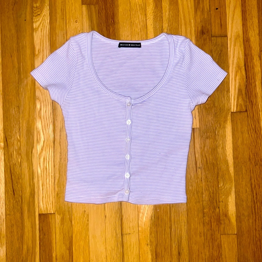 Brandy Melville purple stripped crop top